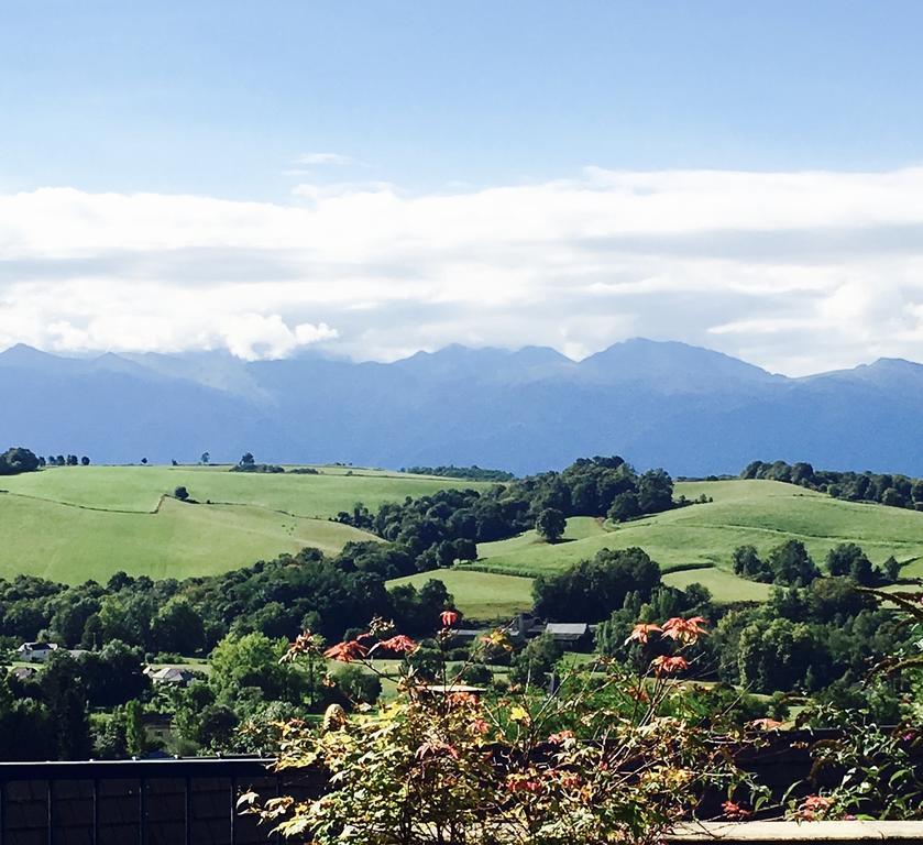 Les Gites De La Maison Bleue D'Estialescq 외부 사진